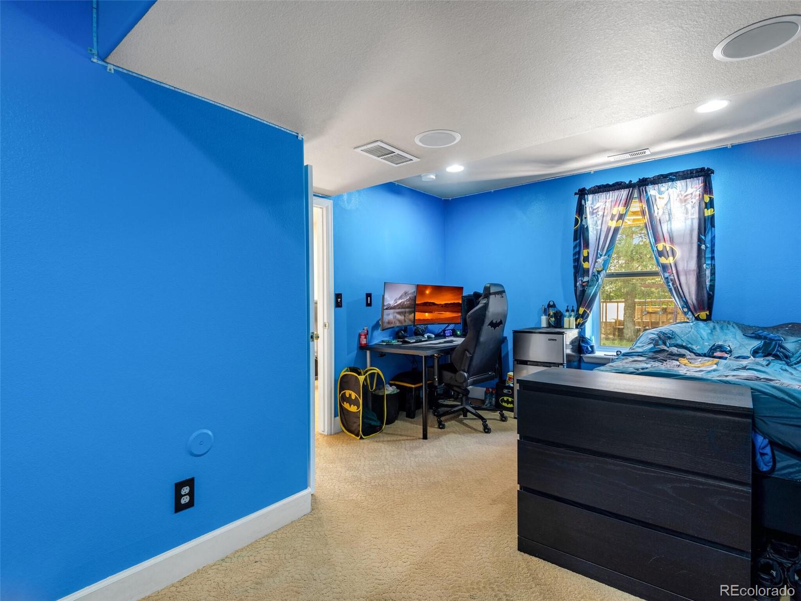 10118 Mountain Maple Court Highlands Ranch, CO 80129 - Photo 14 of 25