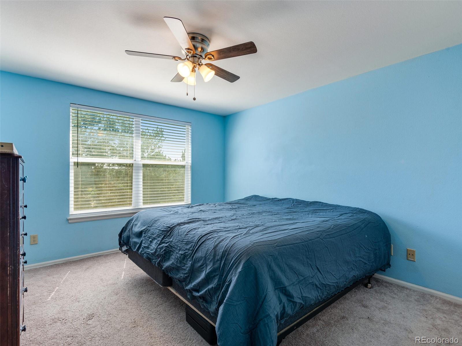 10118 Mountain Maple Court Highlands Ranch, CO 80129 - Photo 16 of 25