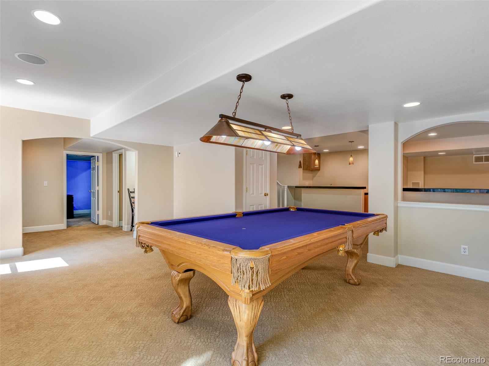 10118 Mountain Maple Court Highlands Ranch, CO 80129 - Photo 21 of 25