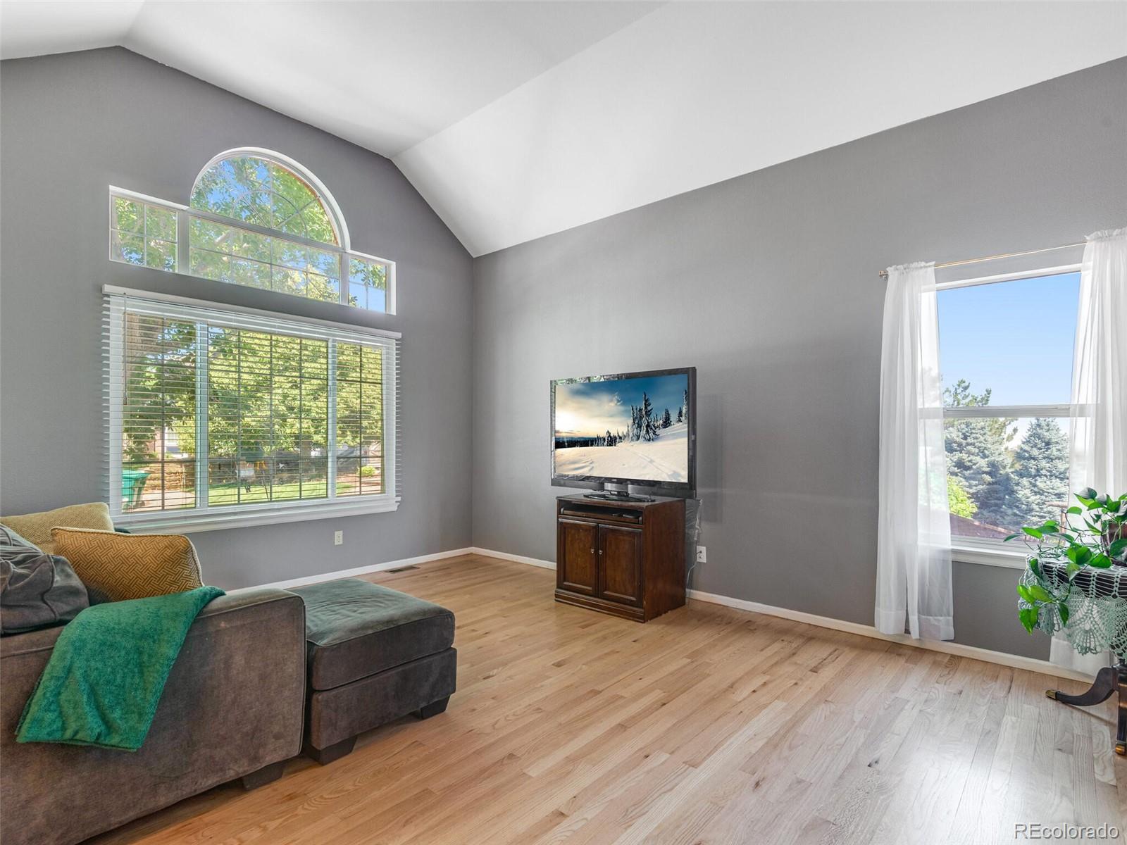 10118 Mountain Maple Court Highlands Ranch, CO 80129 - Photo 4 of 25