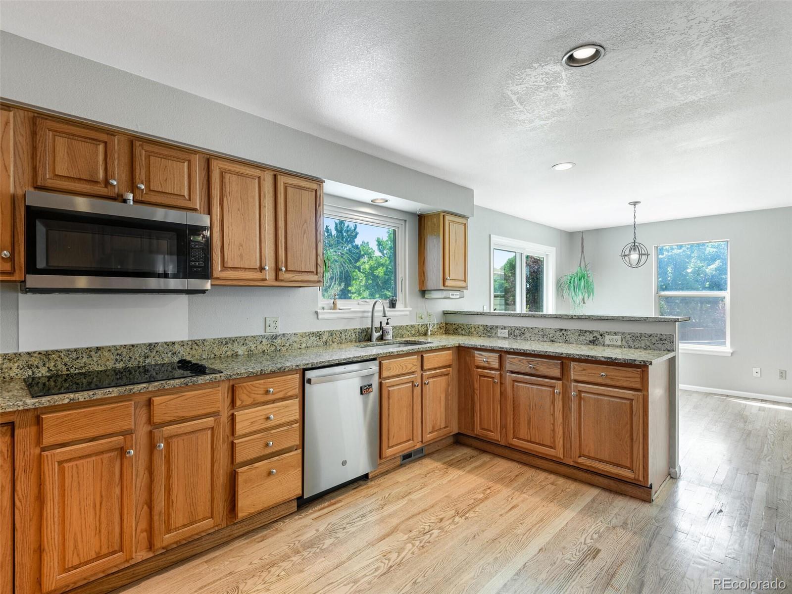 10118 Mountain Maple Court Highlands Ranch, CO 80129 - Photo 9 of 25