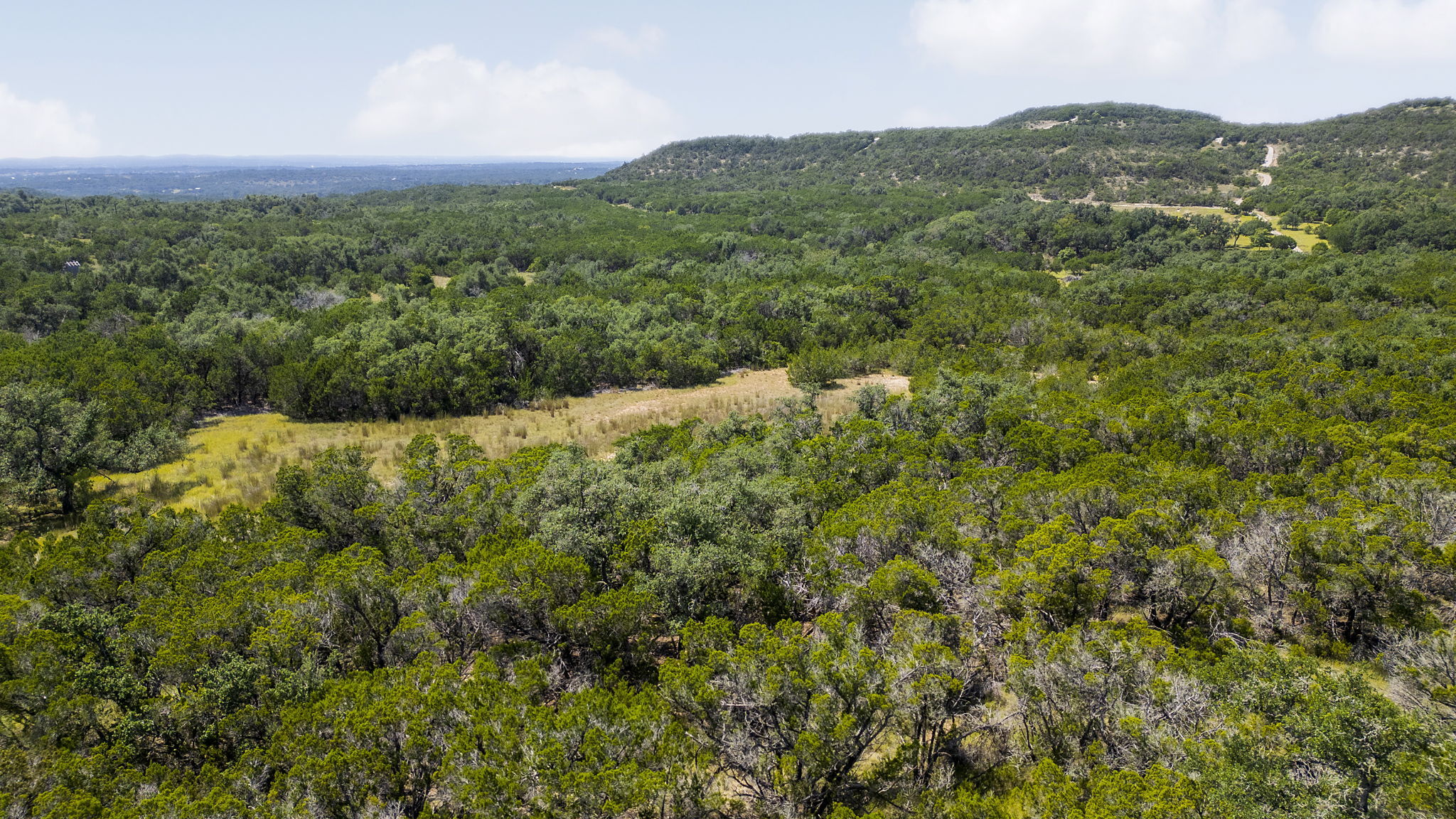 a view of a mountain in the distance in a field