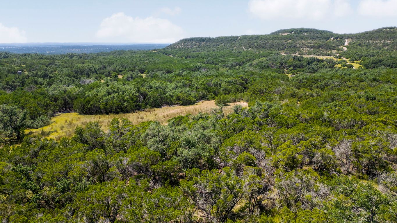 a view of a mountain in the distance in a field