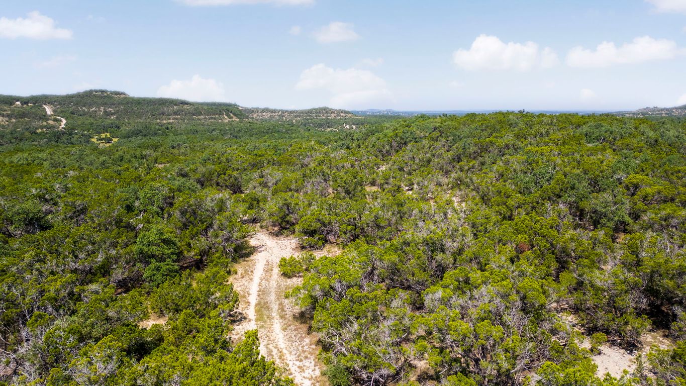 0 Peyton Colony Road Blanco, TX 78606 - Photo 7 of 8 a view of a big yard with plants and large trees