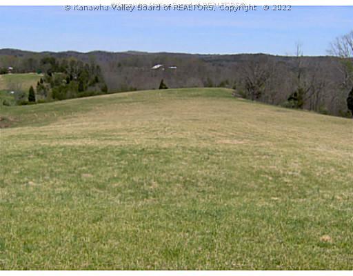 789 Bethel Ridge Road Buffalo, WV 25033 - Photo 6 of 8 Land.