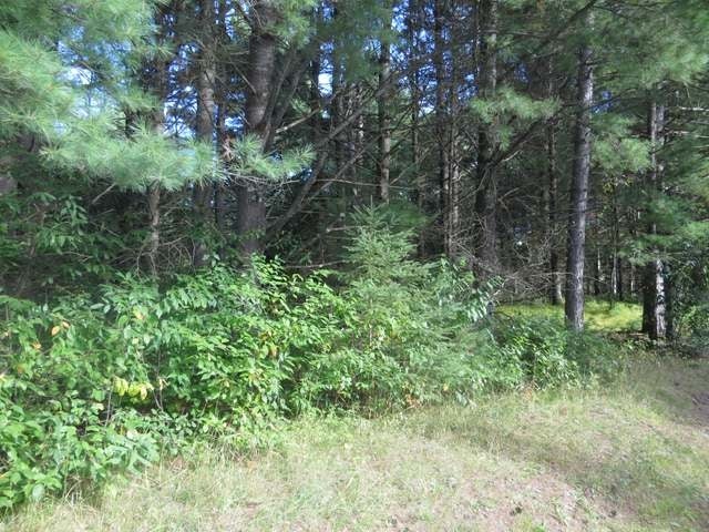 On Helmar Road Minocqua, WI 54548 - Photo 5 of 13 Gallery Image 5