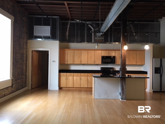412 Dauphin Street, Unit P Mobile, AL 36602 - Photo 8 of 15