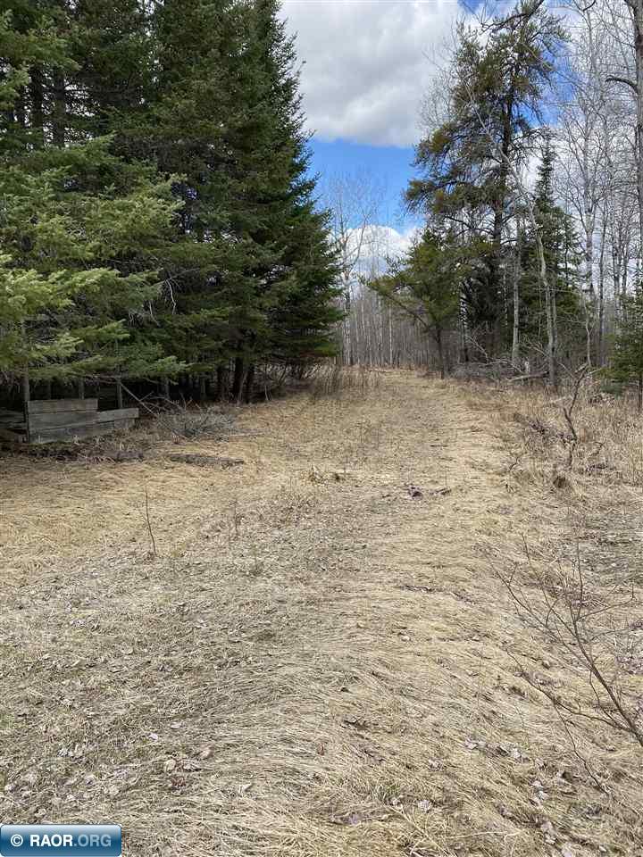 6630-6667 Lesemann Road Embarrass, MN 55732 - Photo 3 of 17 Gallery Image 3