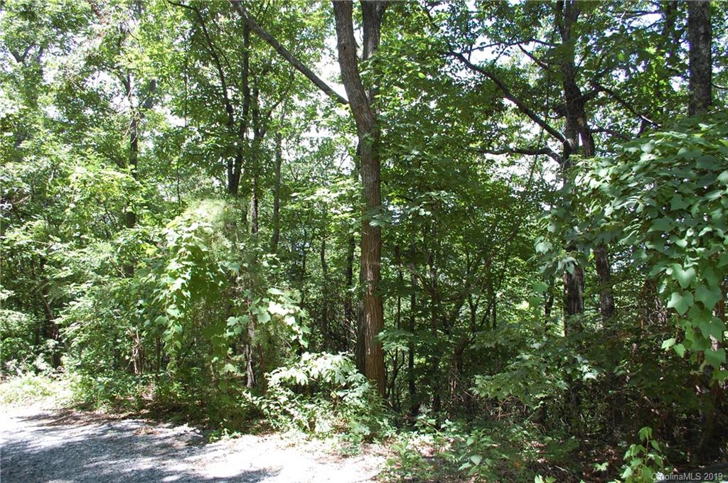 Lot 327 Summit Road Tryon, NC 28782 - Photo 1 of 7