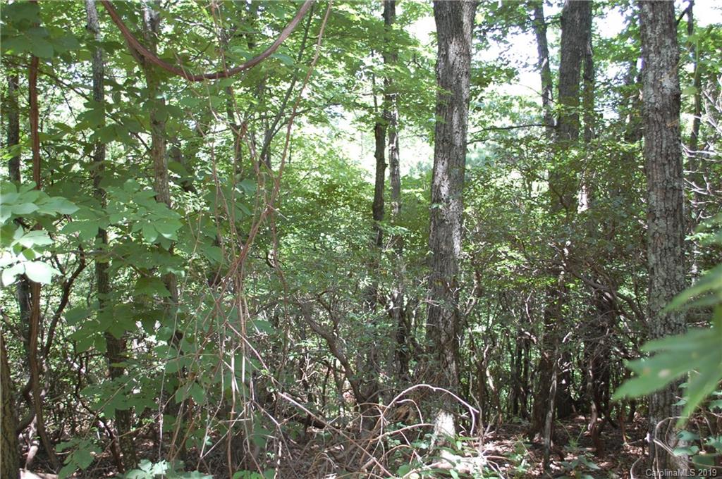 Lot 327 Summit Road Tryon, NC 28782 - Photo 2 of 7