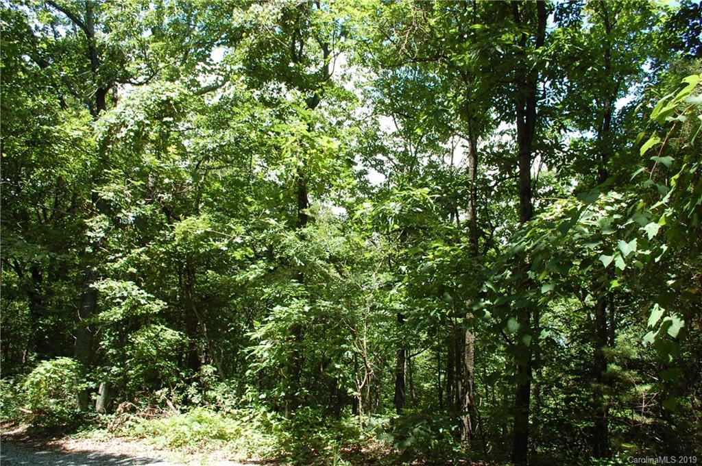 Lot 327 Summit Road Tryon, NC 28782 - Photo 3 of 7