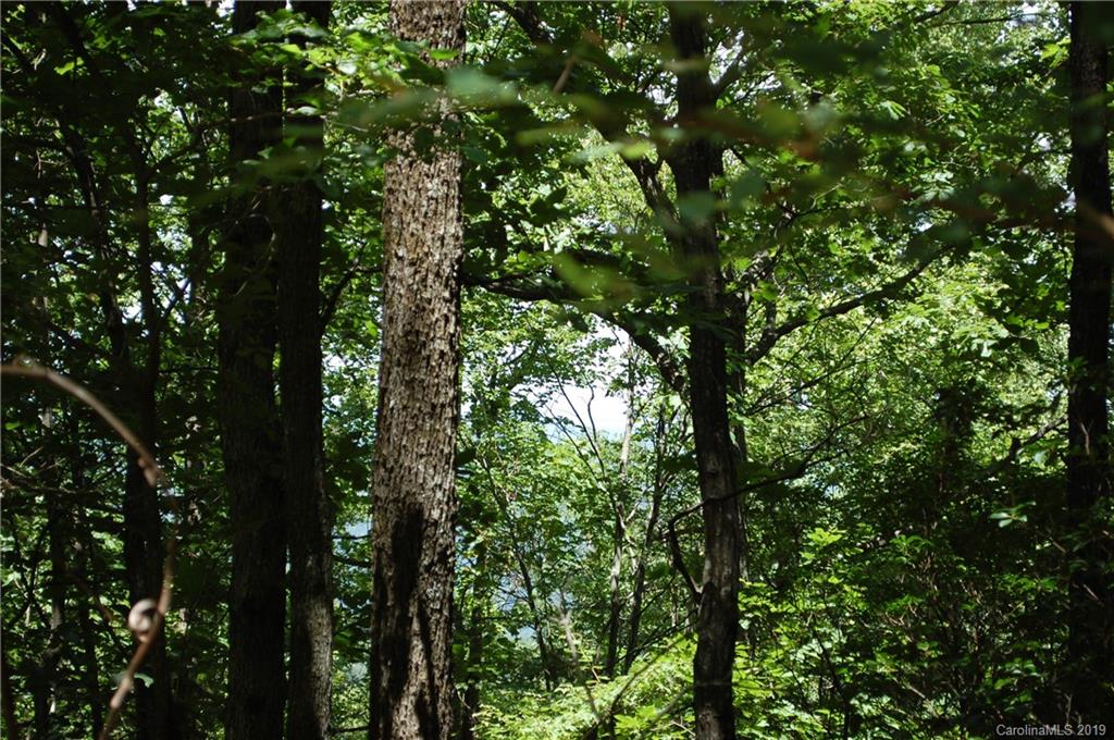 Lot 327 Summit Road Tryon, NC 28782 - Photo 4 of 7