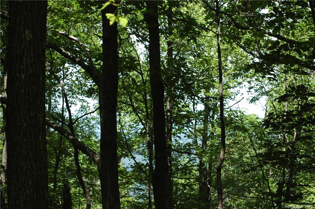 Lot 327 Summit Road Tryon, NC 28782 - Photo 5 of 7