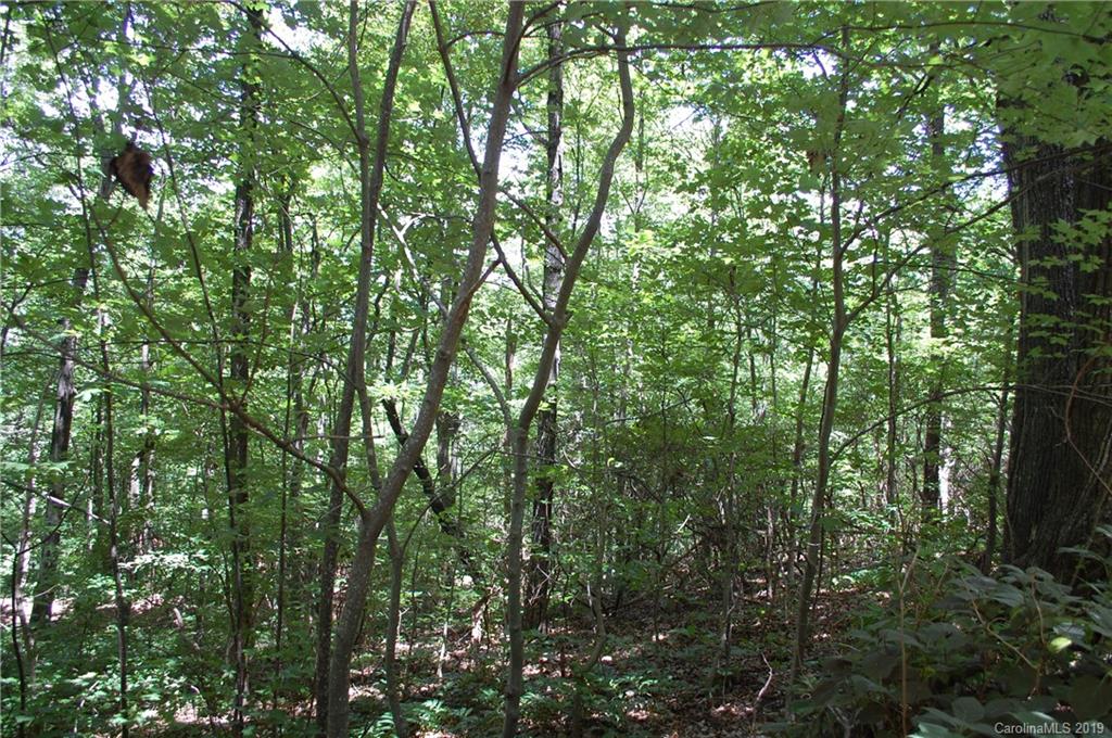 Lot 327 Summit Road Tryon, NC 28782 - Photo 6 of 7