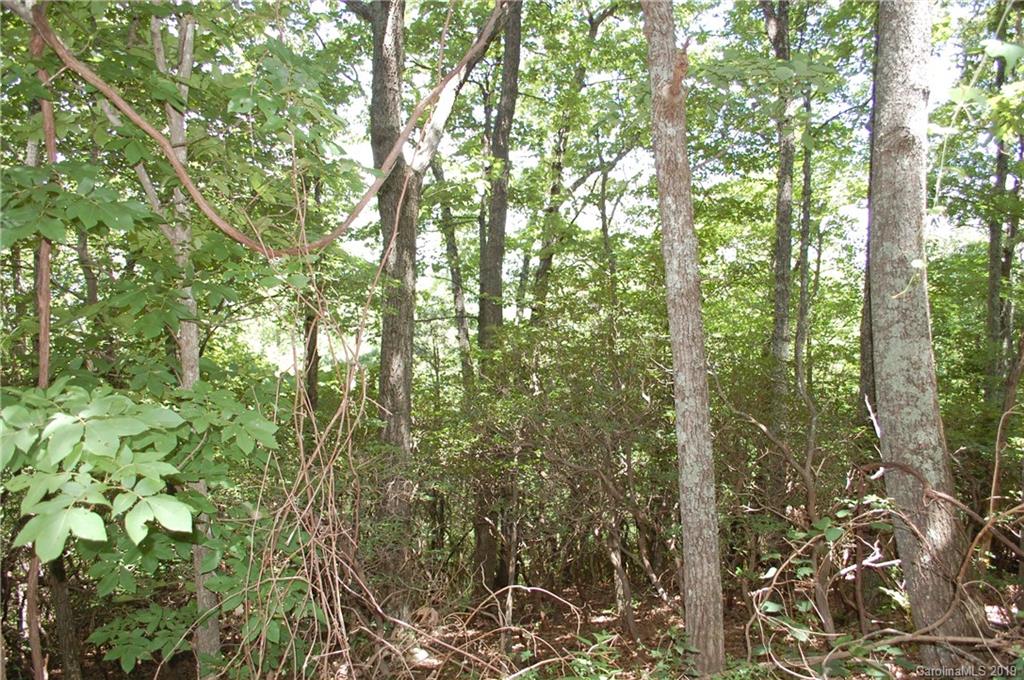 Lot 327 Summit Road Tryon, NC 28782 - Photo 7 of 7