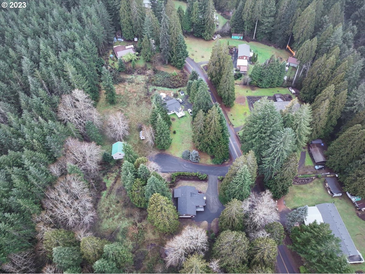 101 Shelley Road Longview, WA 98632 - Photo 25 of 33 an aerial view of a house with a yard and a large tree