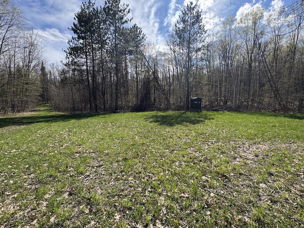Vl Curtisville Road Mio, MI 48647 - Photo 122 of 141 IMG_2371