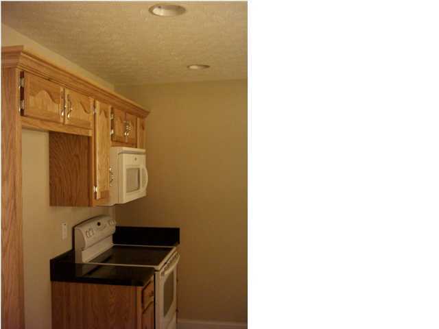 196 Holcomb Road Ringgold, GA 30736 - Photo 4 of 8 Additional Photo