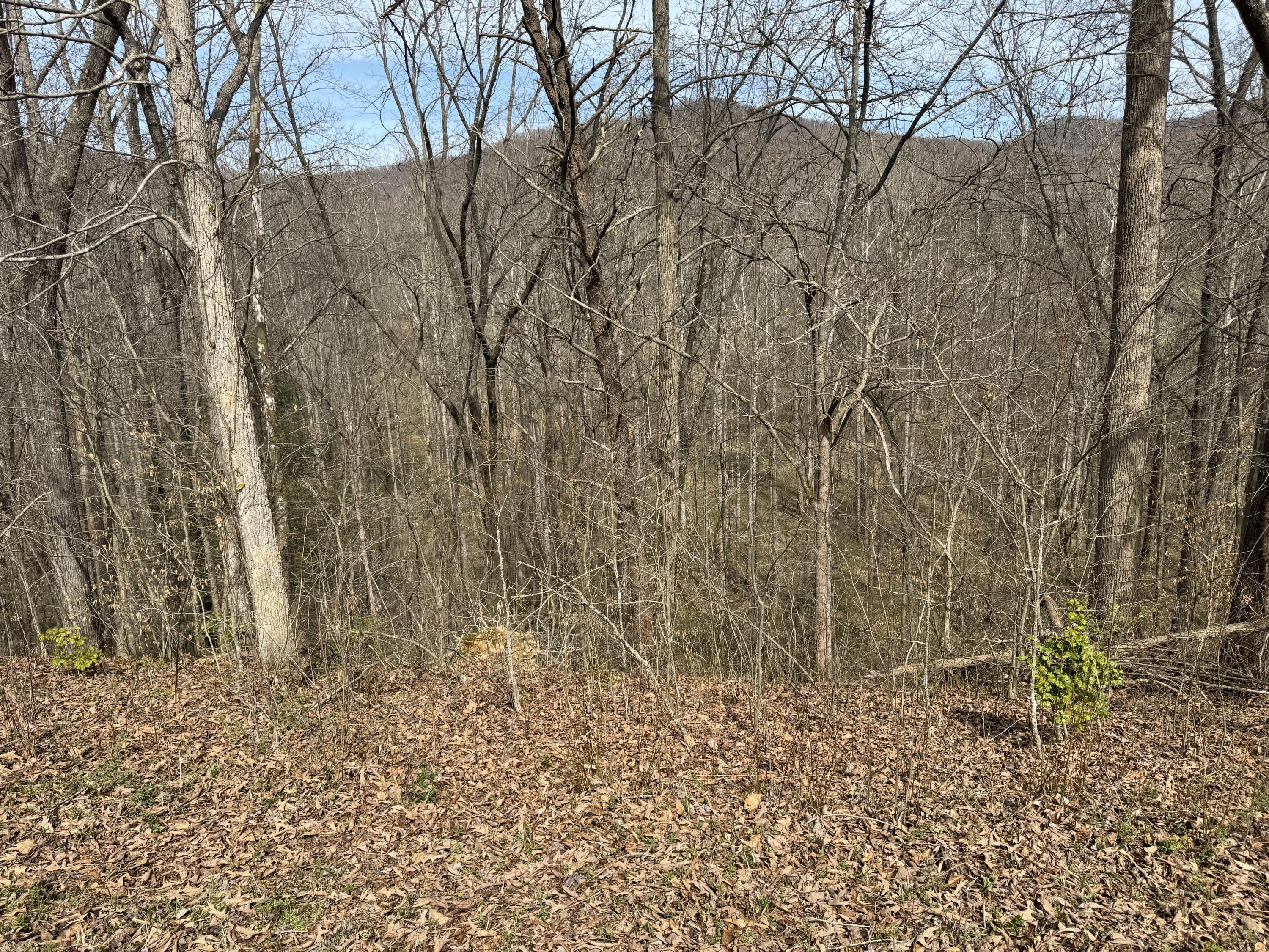 9999 Ryans Creek Road Strunk, KY 42649 - Photo 15 of 22 IMG_4008