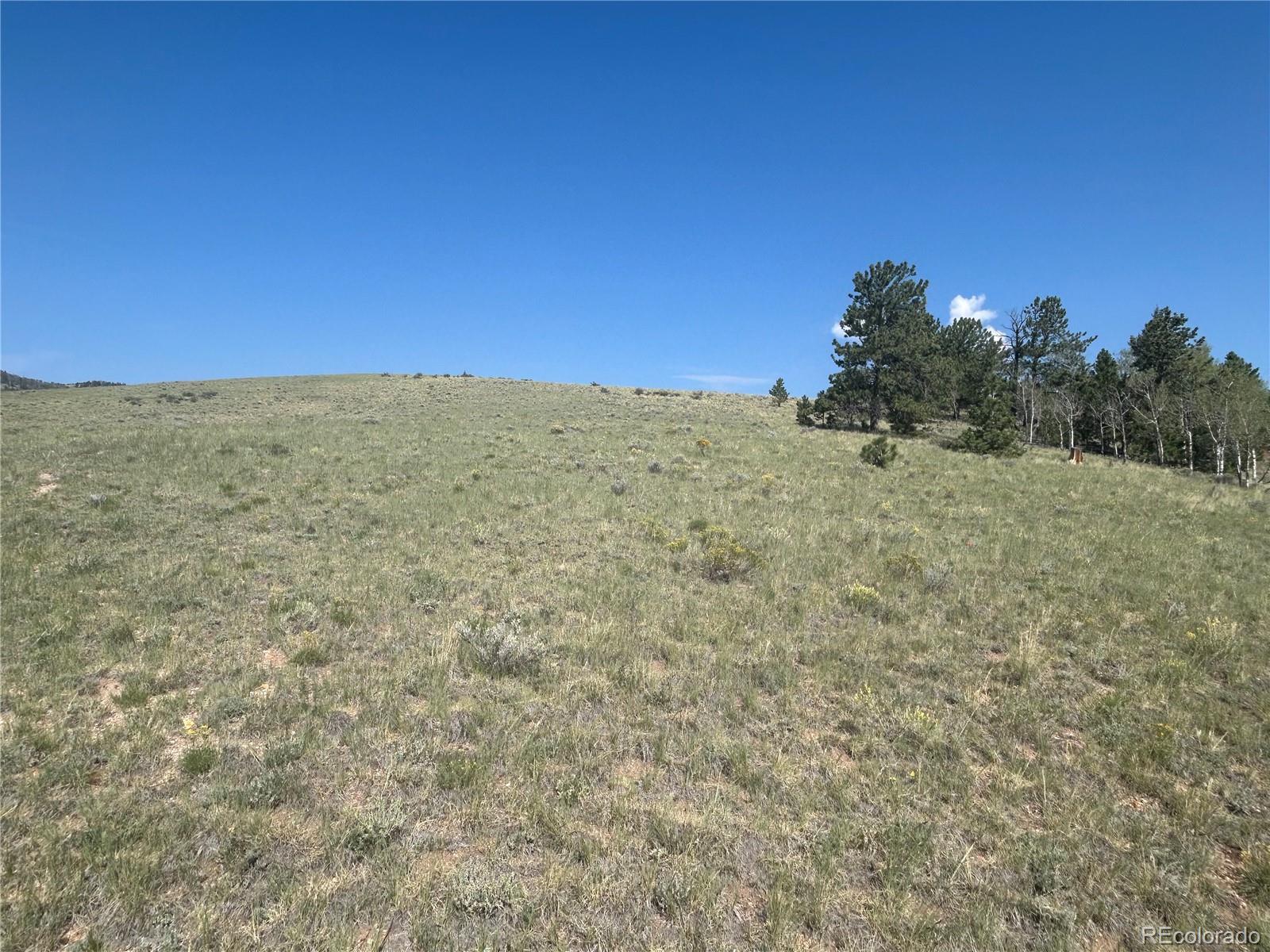 11414 Ranch Road Hartsel, CO 80449 - Photo 12 of 16 Gallery Image 12