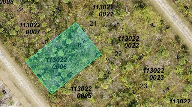 a close up of a plant