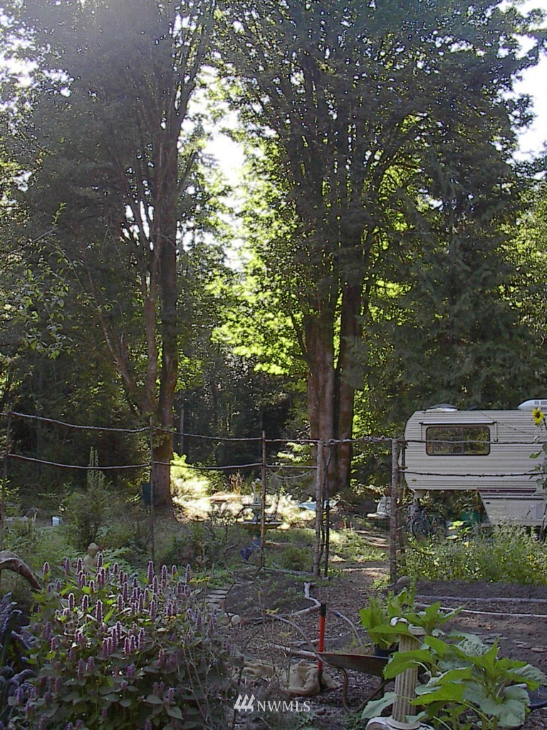 1422 Thomas Road Grapeview, WA 98546 - Photo 7 of 10 Gallery Image 7