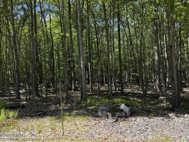 Lot 826 Fawn Road Hawley, PA 18428 - Photo 6 of 31