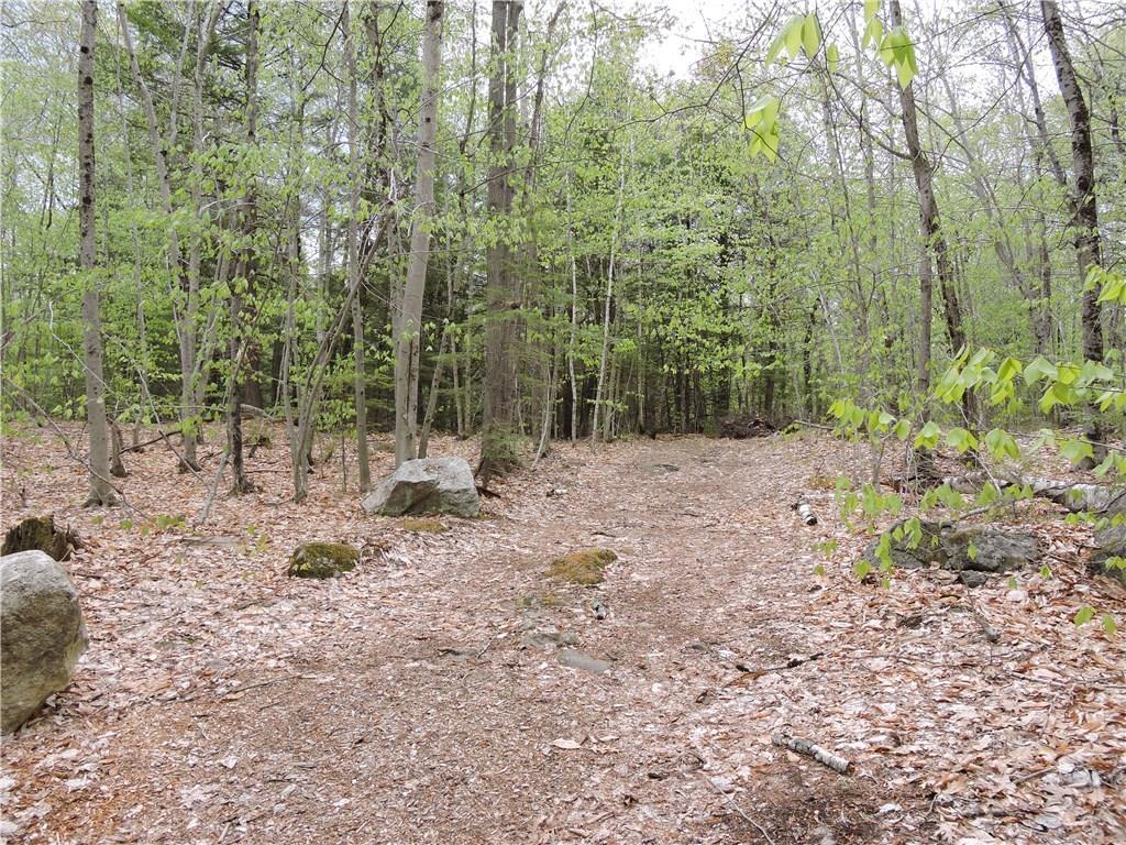 0 Crabapple Road Windham, ME 04062 - Photo 7 of 8 Photo