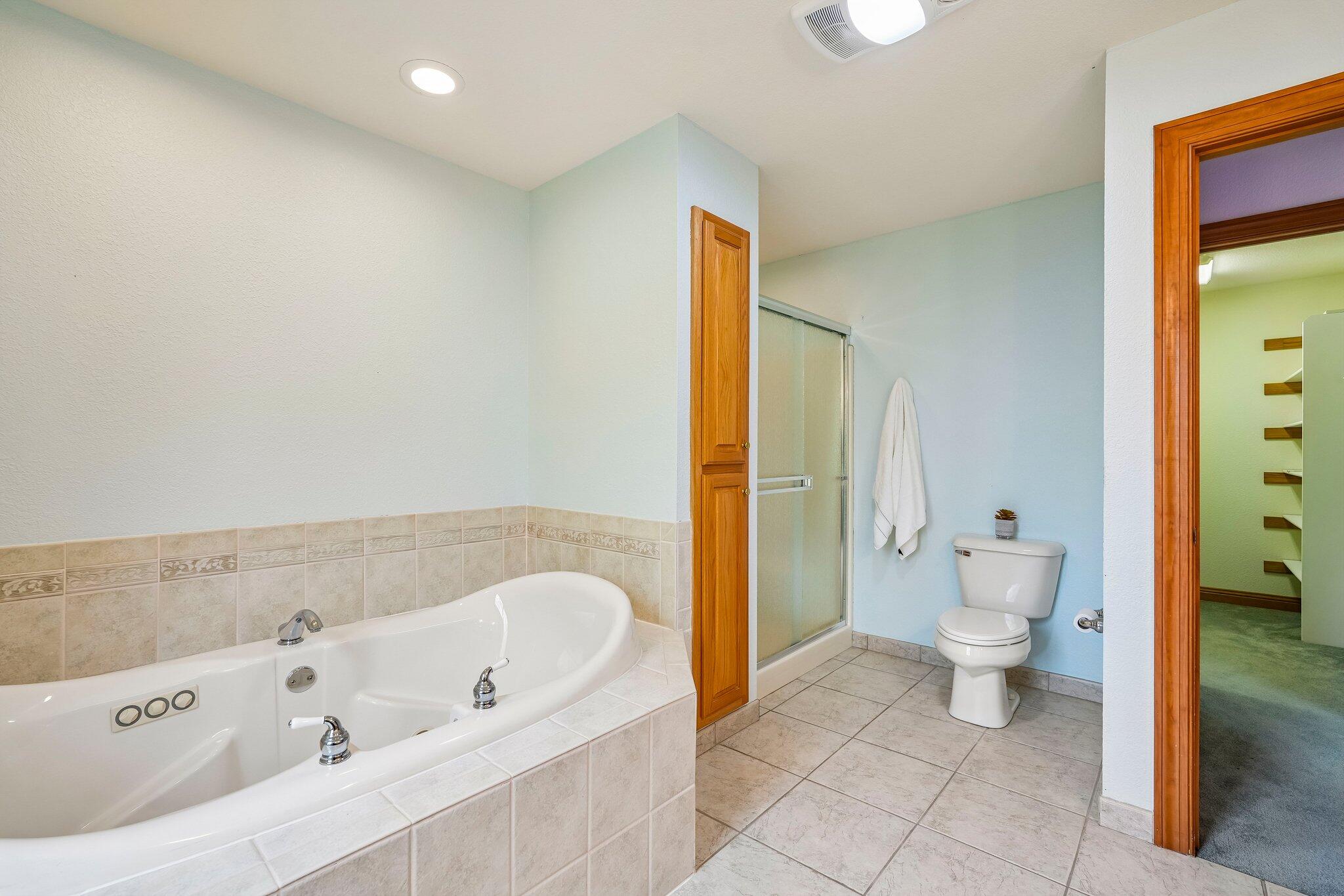 398 Oneida Street Delafield, WI 53018 - Photo 38 of 53 Whirlpool and separate shower