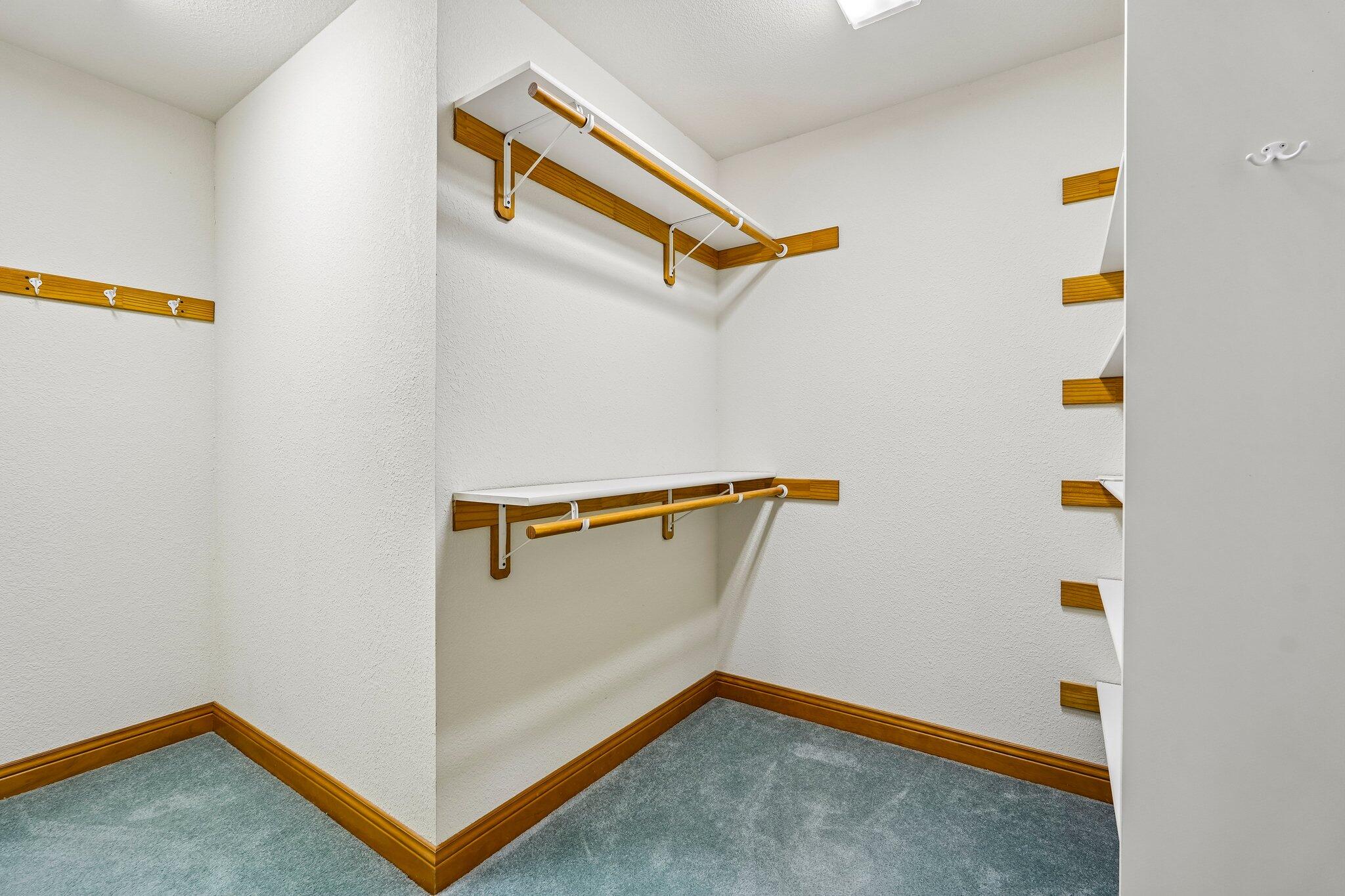 398 Oneida Street Delafield, WI 53018 - Photo 39 of 53 Massive walk in closet