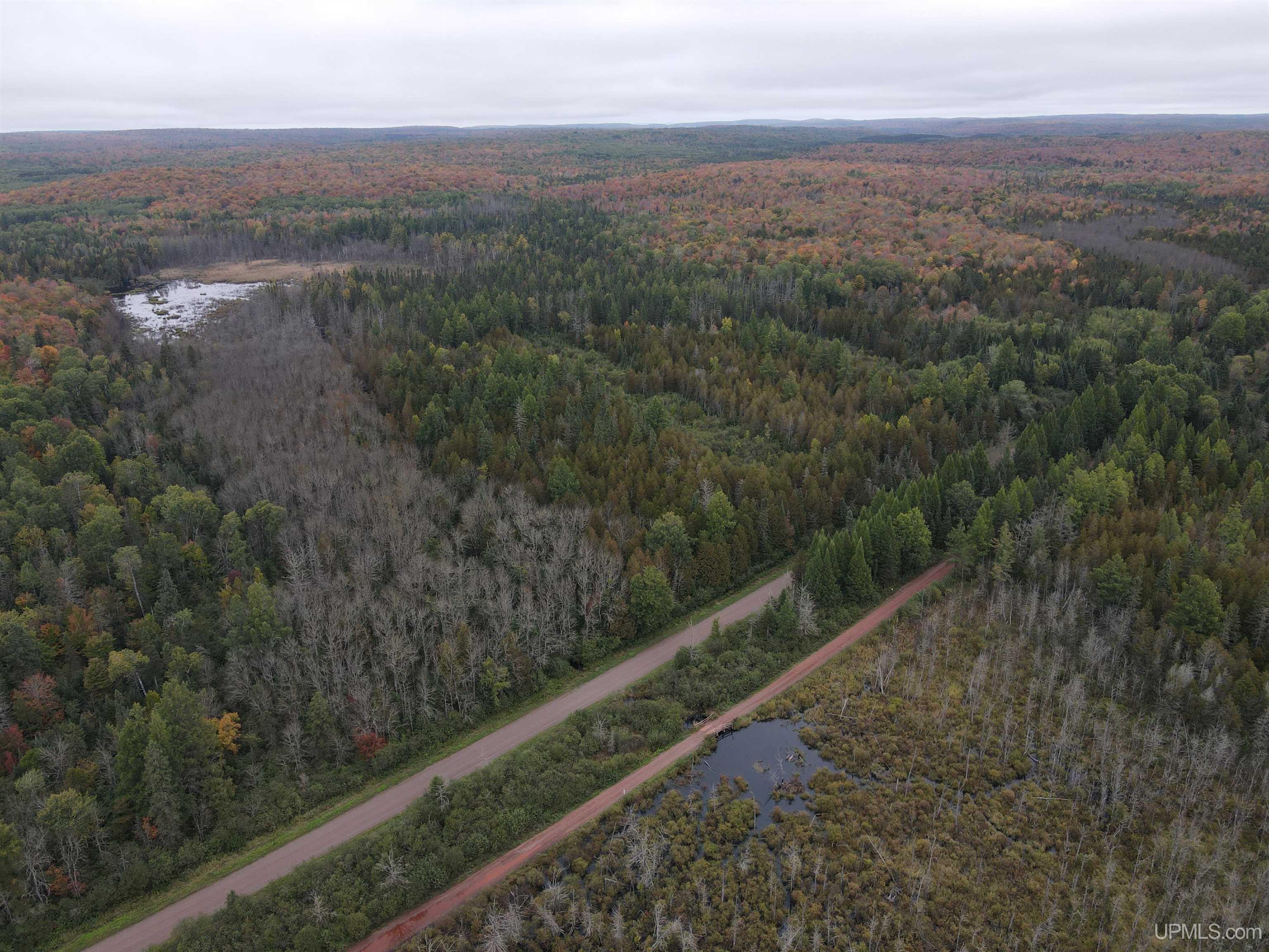 On Dunham Road Marenisco, MI 49947 - Photo 33 of 47