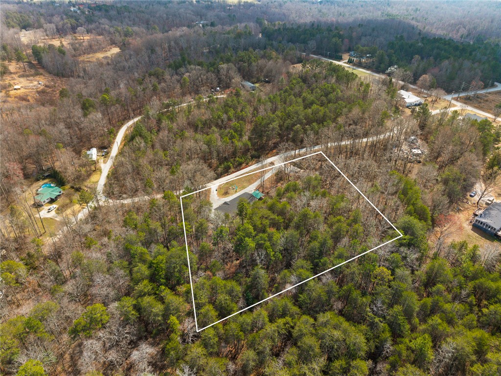 121 Wild Fern Road Seneca, SC 29678 - Photo 41 of 43