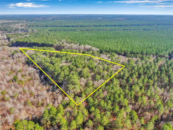 $289,900 | 0 Pelican Road, Shepherd, TX 77371