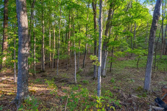 $79,900 | 4447 Baggett Hollow Road, Cunningham, TN 37052