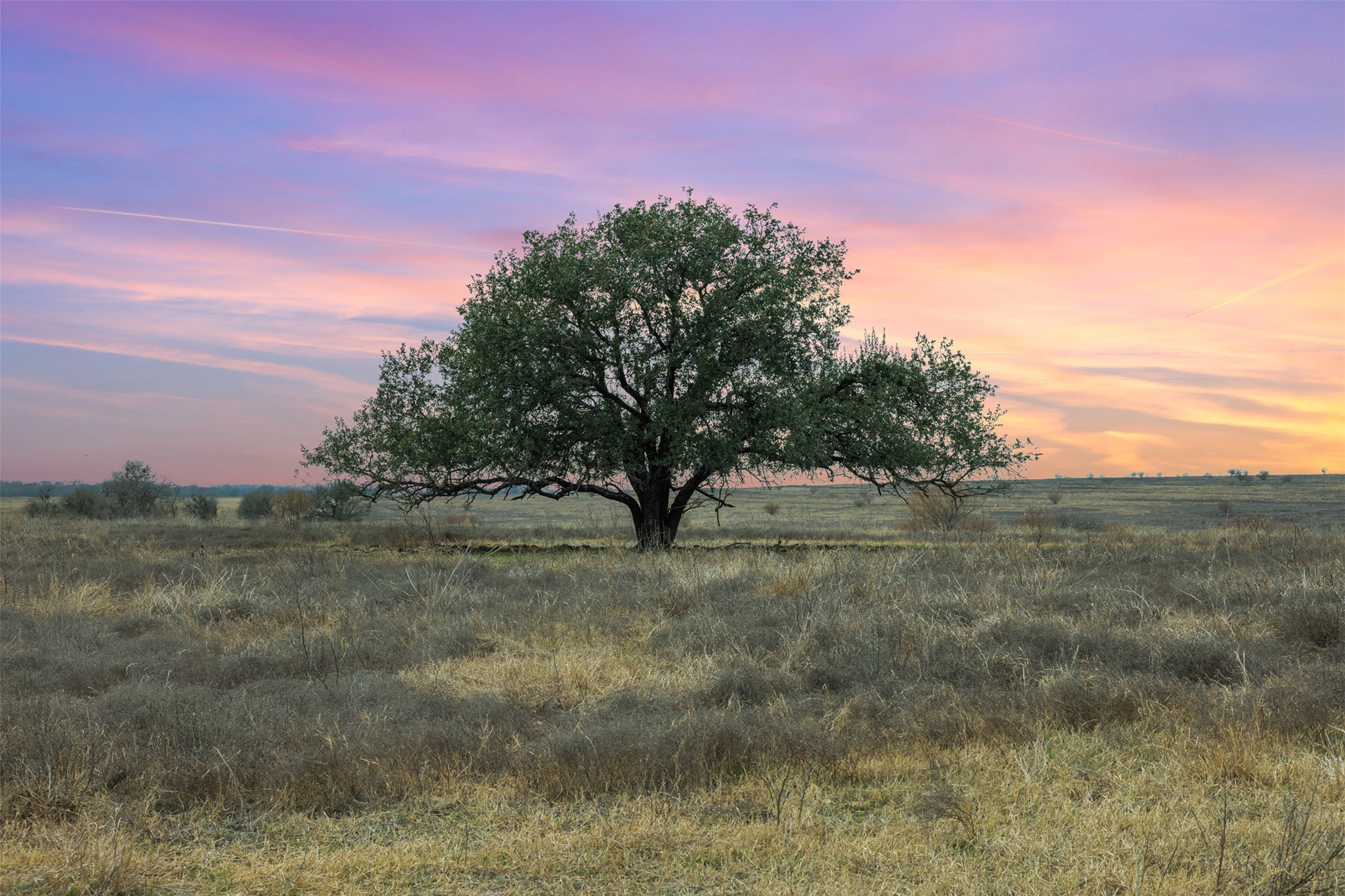 2884 Political Road Lockhart, TX 78644 - Photo 15 of 38 View of nature with rural landscape