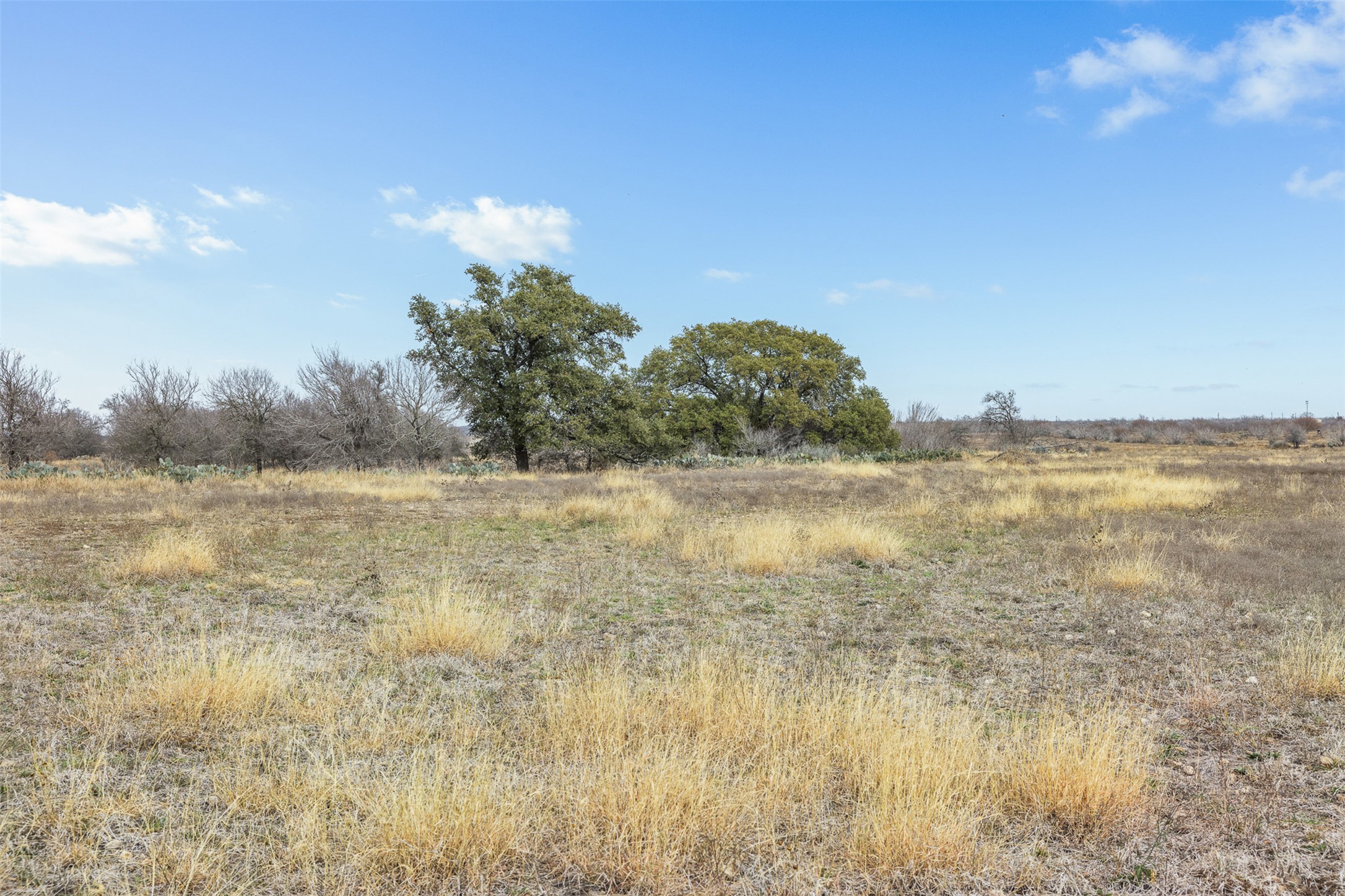 2884 Political Road Lockhart, TX 78644 - Photo 19 of 38 View of local wilderness with rural landscape