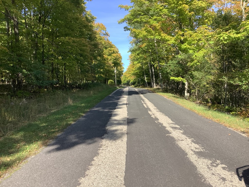 Wickman Road Washington Island, WI 54246 - Photo 6 of 8