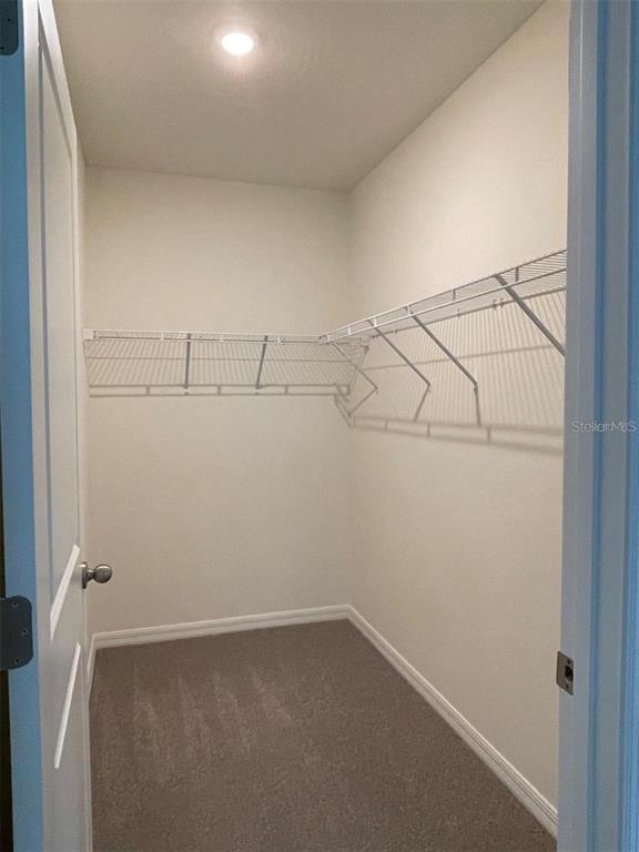 5526 Oxford Gray Road Wesley Chapel, FL 33545 - Photo 6 of 12