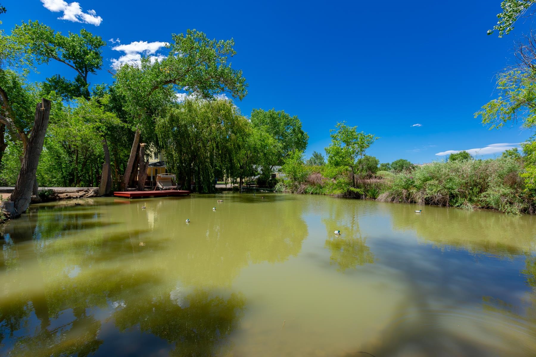 311 34 Road Palisade, CO 81526 - Photo 34 of 42