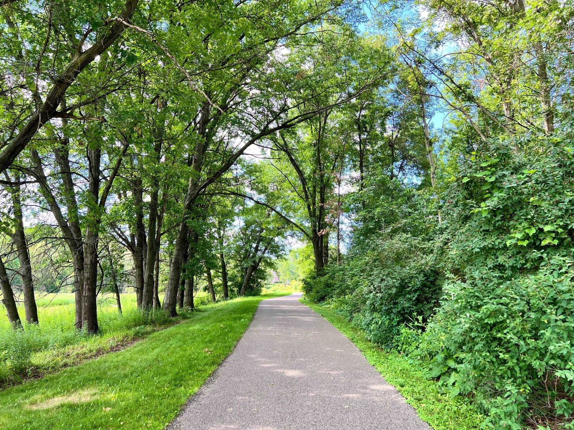 3.1 Bellflower DeForest, WI 53532 - Photo 27 of 28