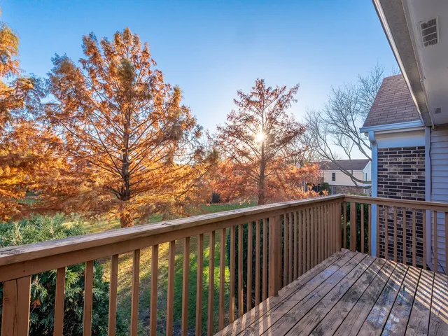 a view of a house with a yard and potted plants