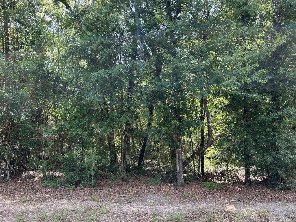 19.16-ac 19.16-ac Ramer Loop Cottonwood, AL 36320 - Photo 20 of 34