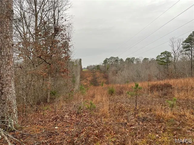 $214,000 | 244 County Road 244, Fredericktown, MO 63645