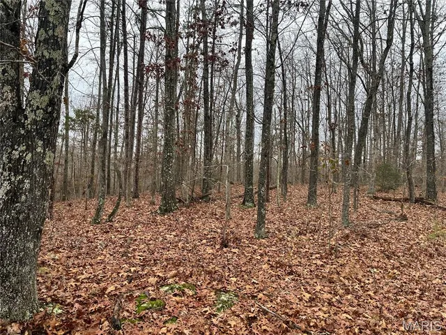 $214,000 | 244 County Road 244, Fredericktown, MO 63645