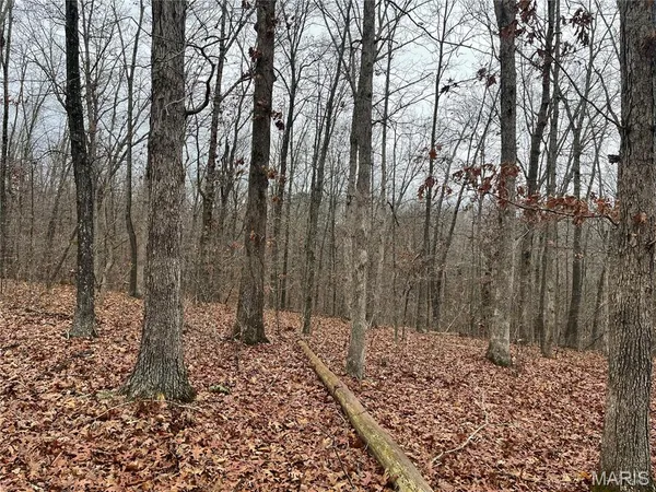 $214,000 | 244 County Road 244, Fredericktown, MO 63645