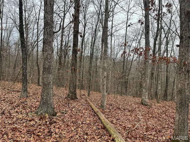 $214,000 | 244 County Road 244, Fredericktown, MO 63645