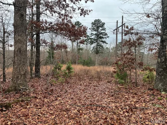 $214,000 | 244 County Road 244, Fredericktown, MO 63645