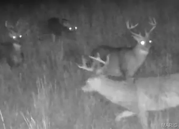 $214,000 | 244 County Road 244, Fredericktown, MO 63645