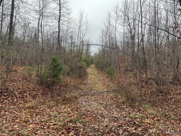 $214,000 | 244 County Road 244, Fredericktown, MO 63645