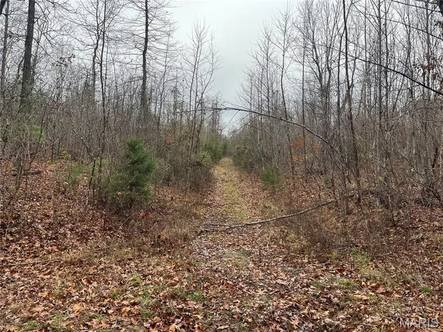 $214,000 | 244 County Road 244, Fredericktown, MO 63645